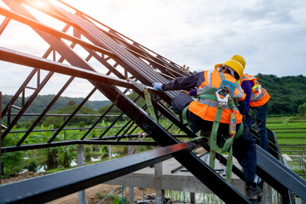 Best Residential Roofing Contractor  in Olivia, MN