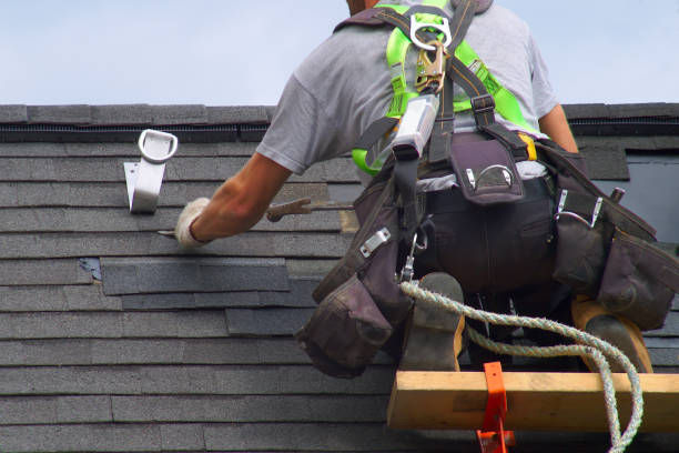 Best Storm Damage Roof Repair  in Olivia, MN