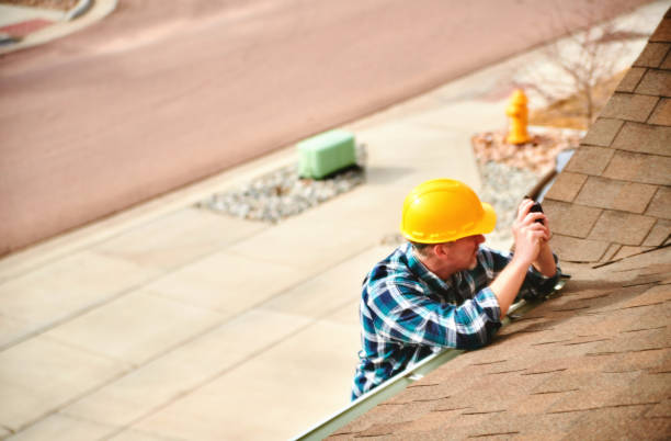 Best Roof Leak Repair  in Olivia, MN