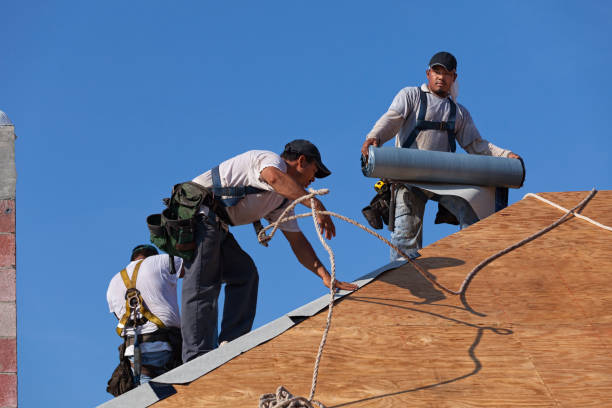Best Tile Roofing Contractor  in Olivia, MN