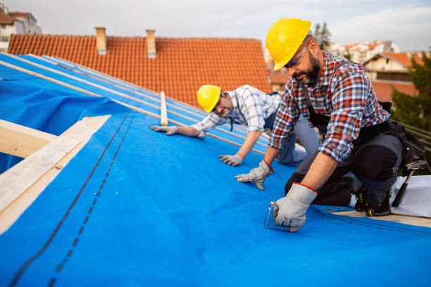Best Local Roofing Companies  in Olivia, MN