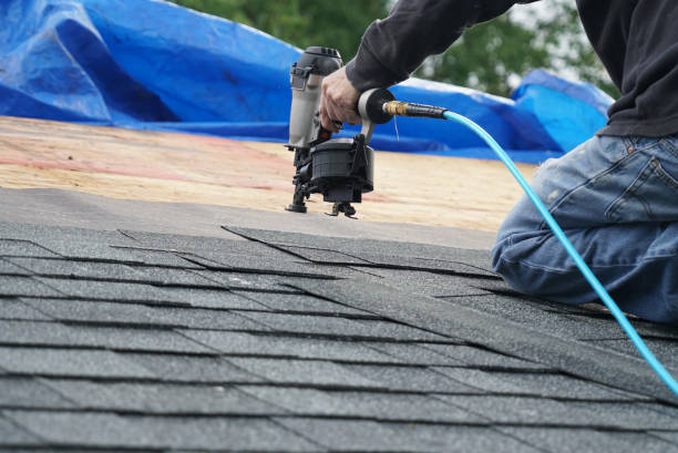 Best Flat Roof Repair Services  in Olivia, MN