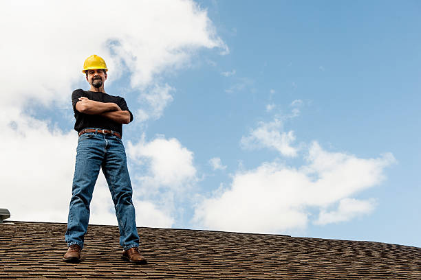 Best Shingle Roofing Installation  in Olivia, MN