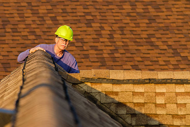 Best New Roof Installation  in Olivia, MN