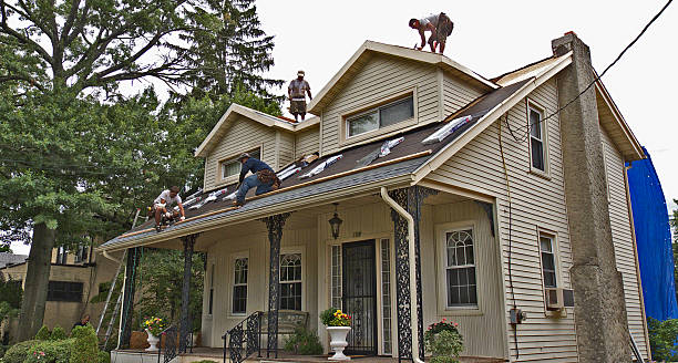 Best Best Roofing Contractors  in Olivia, MN