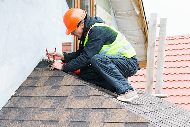 Best Roof Maintenance Services  in Olivia, MN