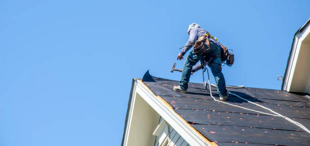 Best New Roof Installation  in Olivia, MN